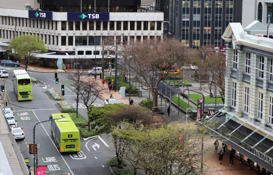 Lime coloured buses, trees and buildings