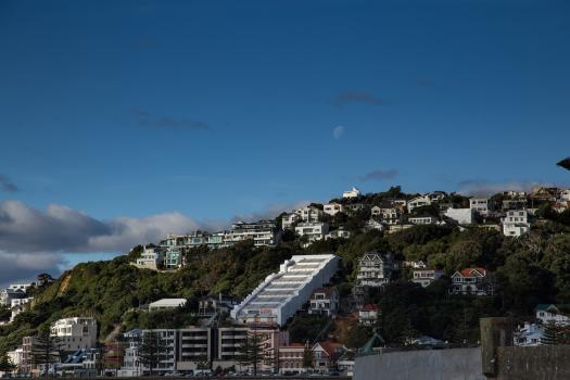 Buildings on hills in Wellington