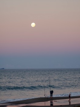 Surf Cast Fishing Beach Moon Evening