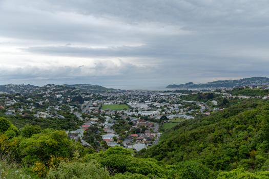 City view from the hills of Wellington