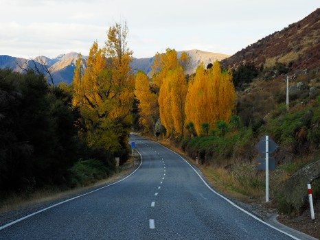 Aspiring Road, Wānaka in Autumn