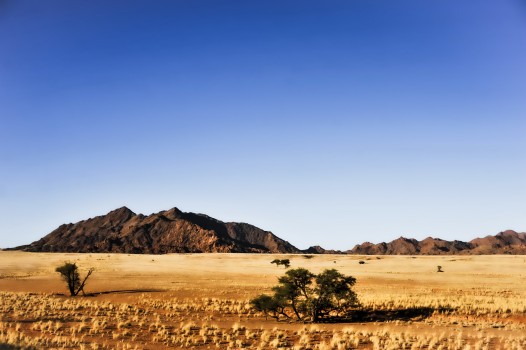 Dry landscape with mountain