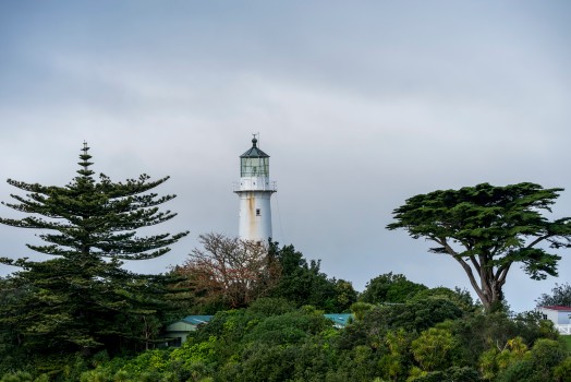 Lighthouse on Tiritiri Matangi Island