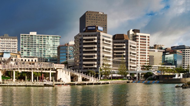 Wellington Cityscape Panorama