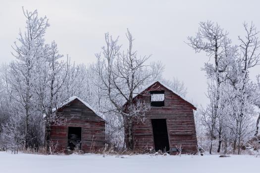 Abandoned barns
