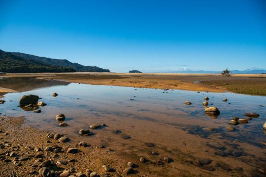 Abel Tasman National Park wetlands