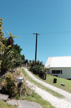 Plants pathway fence and electric pole at Whakarewarewa