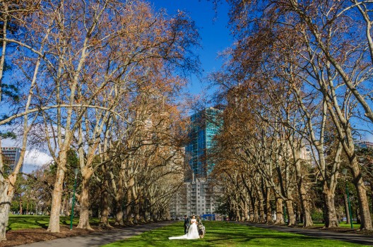 Wedding photography, Carlton Gardens