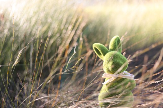 Green Easter toy bunny in vegetation outdoors