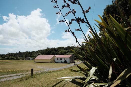 New Zealand flax Marae hut in a field