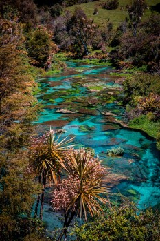 Blue Springs, New Zealand