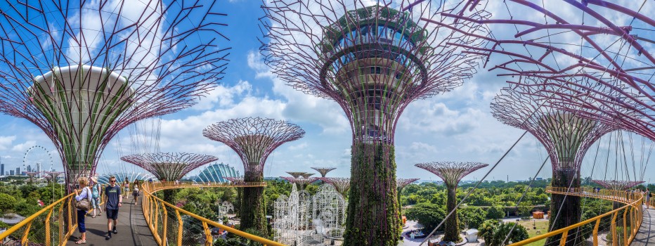 The Super Tree Grove, Gardens by the Bay