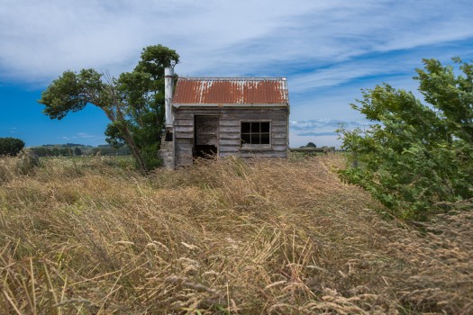 Hut in windswept rural area