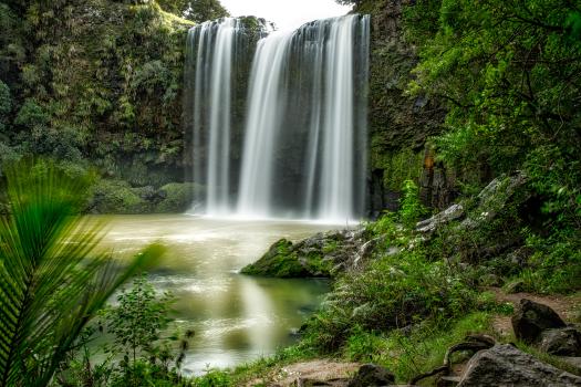 Base of the Whangarei Falls 