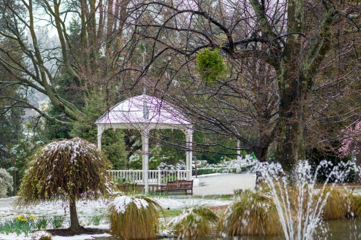 Spring snow in Queenstown Gardens