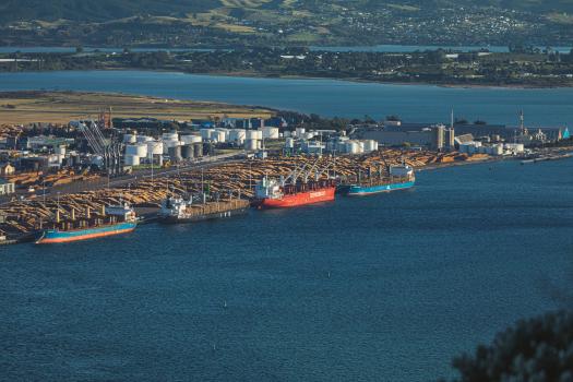 Tauranga port operations