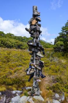 Boot tree, Heaphy Track