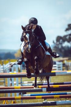 Masterton Equestrian Jumping 2019