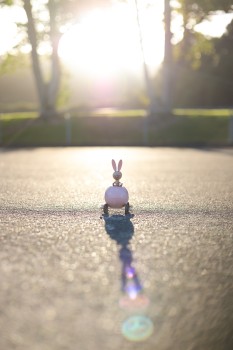 Pink Easter bunny toy on asphalt