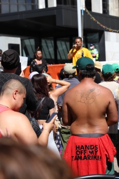 "Hands off my Tamariki" - Convoy 2022 protest