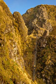 Trampers on Tararua Peaks ladder