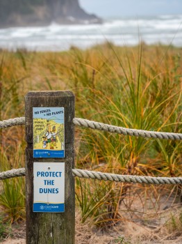 Sand Dune Protection Signs