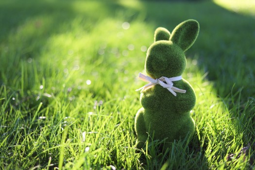 Green Easter bunny toy sitting in the grass
