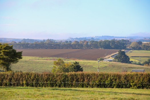 Farmland horizon, Buckland farms