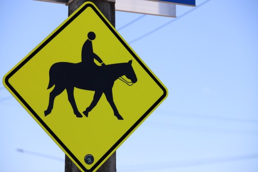 Yellow 'Equestrian ahead' sign board