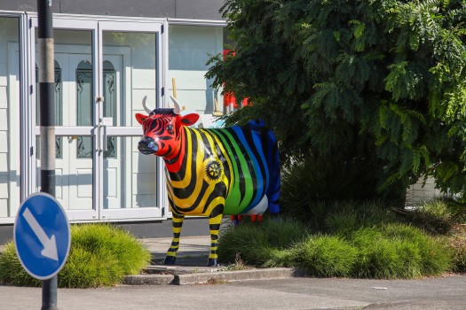 Multi-coloured cow structure at Morrinsville