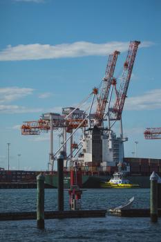 Tauranga port loading cranes