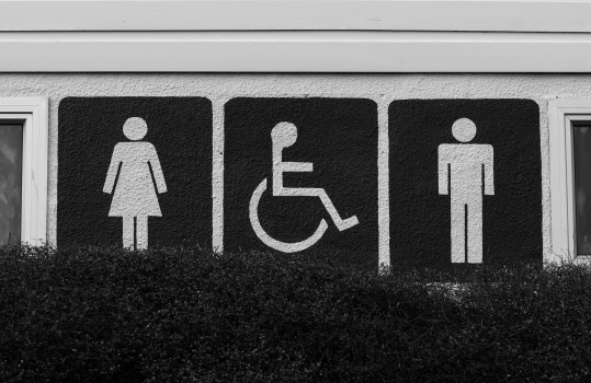 Female, disabled and male symbols B&W