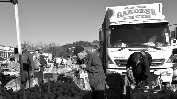 Customers picking fruit & vegetable at the local produce market monochrome