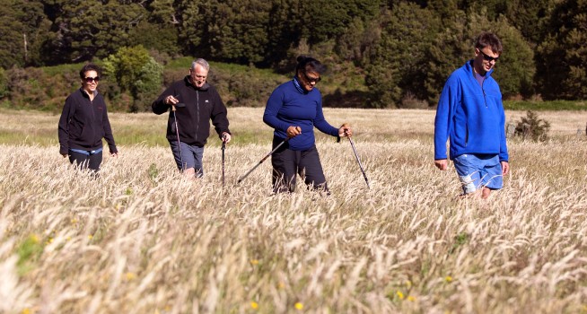 4 Kiwi trampers walk through grass, Otago