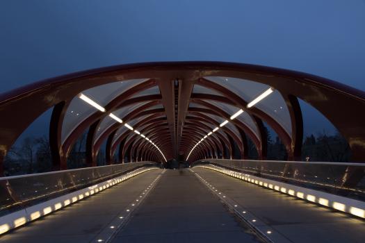 Pedestrian bridge at night