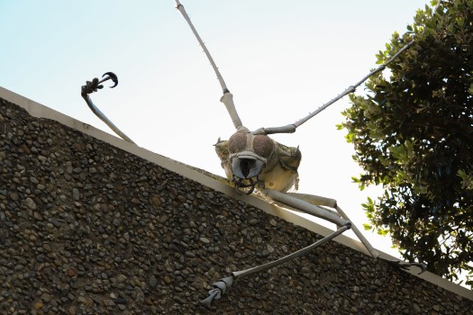 Giant insect sculpture on a wall