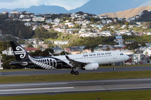 Wellington city landscape and airport