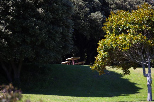 Picnic table on a grassy mound
