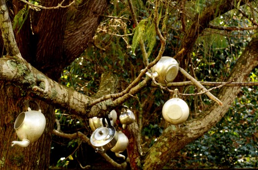 Teapots in a tree