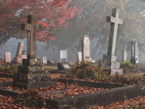 Cemetery on a foggy morning