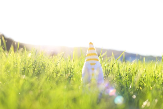 Plush Easter gnome in grass at golden hour