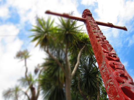 Maori totem pole and New Zealand cabbage tree bokeh