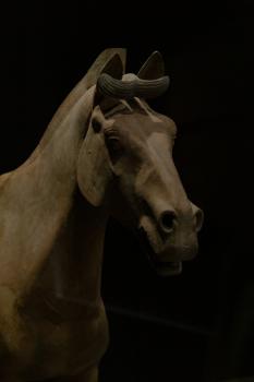 Terracotta horse head