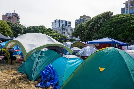 Protest tents on the lawn