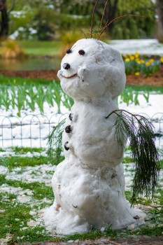 Snowman in the gardens