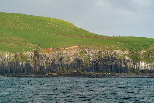 Chatham Island basalt columns - view from sea