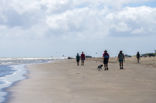 People walking on Paraparaumu Beach