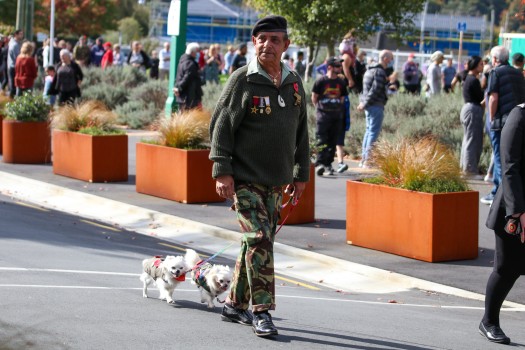 Veteran walking his two little dogs, ANZAC 22