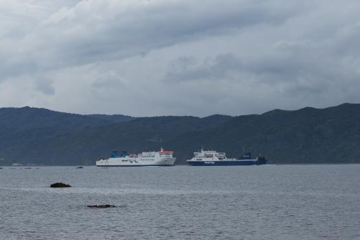 Interislander and Bluebridge ships crossing