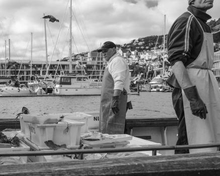 Fishermen in Wellington Harbour